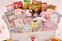 Kawaii Mystery Box From Japan!