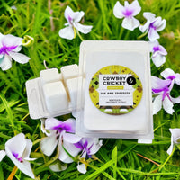 We Are Infinite Soy Candles and Melts - Honeysuckle, Sweetgrass, & Violet - Perks of Being A Wallflower Inspired