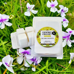 We Are Infinite Soy Candles and Melts - Honeysuckle, Sweetgrass, & Violet - Perks of Being A Wallflower Inspired