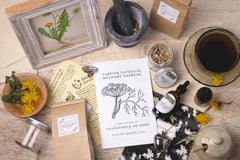 Herbal Apprentice Box