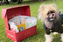 Gourmet Health Plus Box