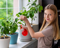 *NEW* KIDS GARDENING CLUB by My Garden Box