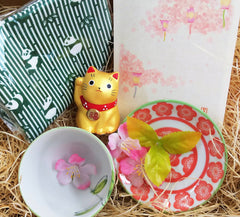 Kizuna Lifestyle Trial Box  By Air delivery (FREE Shipping Worldwide!)