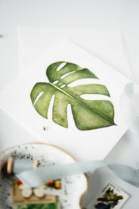 Monstera Plant Any Occasion Card