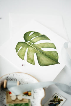 Monstera Plant Any Occasion Card