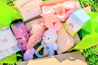 Easter basket filler,hello kitty blind box, mystery figure box, easter bunny mini plush, fake nails for girls, personalized jewelry box, 