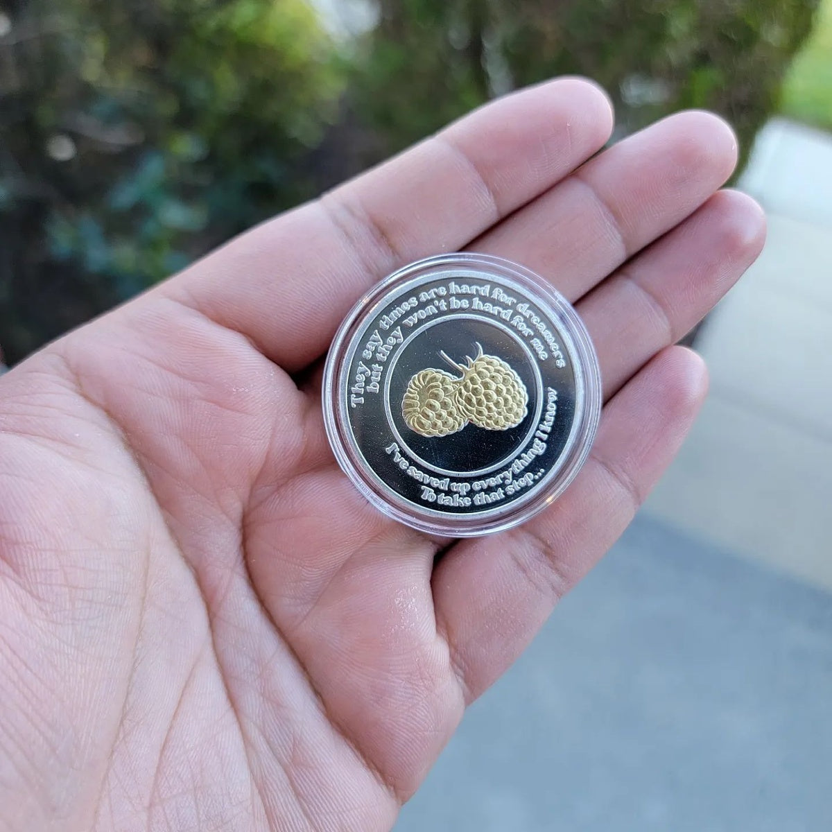 Amelie Broadway Musical inspired Silver and Gold plated coin - Times are Hard for Dreamers