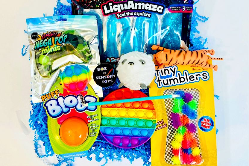Fidget Box
• Liquamaze Squish
• OMG Mega Pop Mini
• Blobz
• Rainbow Pop It
• Woo Puff 
• Tiny Tumblers
• Pen Pop It OR Stretch Tiger