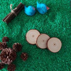 Garden Hues Sensory Rice