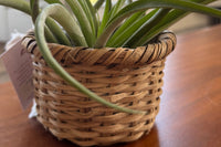 Plant Lovers - Fair Trade Box - One Time Ship Box