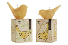 Nature's soy, bee's wax candle with the best scents for your monthly enjoyment. Purchase a 6 -12 month subscription.