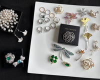 Dreamcloud  Brooch Pin Jewelry Gift Box