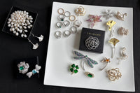 I’m dreamcloud,a jewelry designer,my shopify store:“www.flytodreamcloud.com”,where all my designs are available,including brooches, rings.