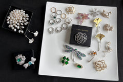 I’m dreamcloud,a jewelry designer,my shopify store:“www.flytodreamcloud.com”,where all my designs are available,including brooches, rings.