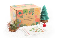 air plant gift delivery Airplant Box