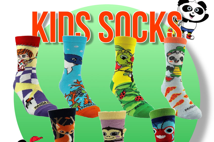 Sock Panda Kids Socks (Ages 3-7)  -  Two Pairs Each Month