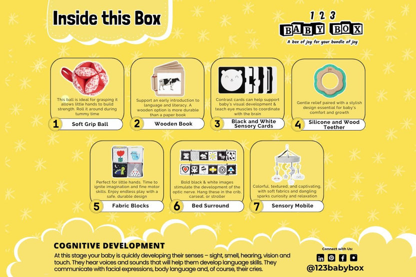 123 Baby Box (0-2 Months Box)