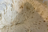 Showing a very active re-hydrated sourdough starter with bubbles developing and doubling day to day in size!