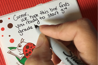 Colorful graphic showcasing the Reading Bug Box logo and subscription service details for children's books
