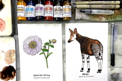 Nature Sketch Crate