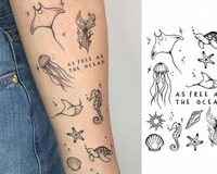 Beach Box Ships First, then choose from over 30 additional box themes for upcoming months!  Bring the Beach home, wherever you are!