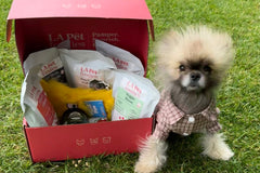 Gourmet Health Plus Box