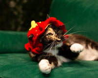 Feral Friends Monthly Cat Box. Spoil Yours. Feed a Feral Cat for 30 Days.