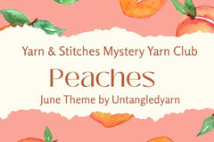 Yarn and Stitches Monthly Luxury Yarn Club