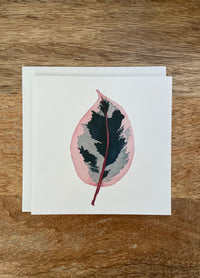 Ficus Ruby Plant Any Occasion Card