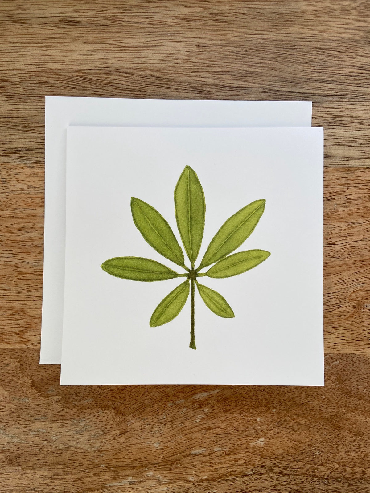 Umbrella Plant Any Occasion Card