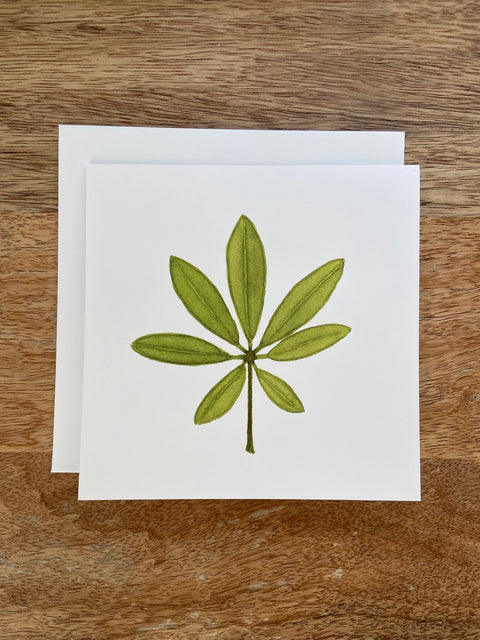 Umbrella Plant Any Occasion Card