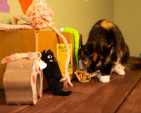 Feral Friends Monthly Cat Box. Spoil Yours. Feed a Feral Cat for 30 Days.