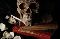 scary looking and old red and brown books with a designer skull laying on top of them. The background is plain black.