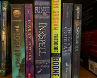 Advanced Chapter Books