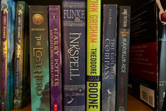 Advanced Chapter Books