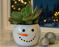 Tiny Tot Snowman with 2-inch Succulent