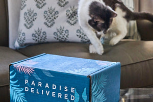 𝐂𝐚𝐭 𝐌𝐨𝐦 𝐌𝐲𝐬𝐭𝐞𝐫𝐲 𝐁𝐨𝐱 (10+ Items for cats & their amazing moms!)