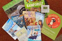 Reading Bug Box (for 2 Children)