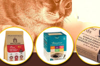 Brews & Blessings Box – Coffee, Tea & Cat Subscription Box That Helps Cats