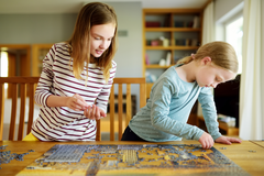 Customizable Monthly Puzzle Subscription 500-1,000 Pieces