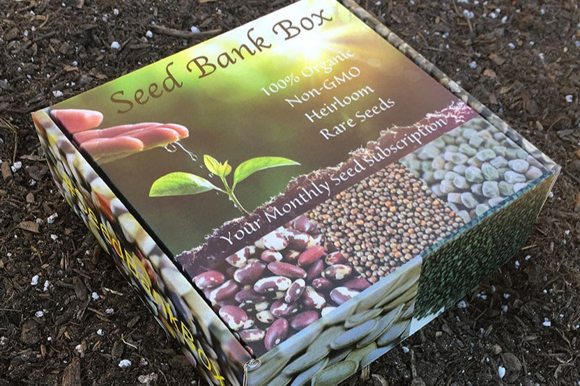 Seed Bank Box