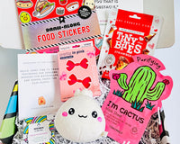 TWEEN WISHBOX - Monthly Box