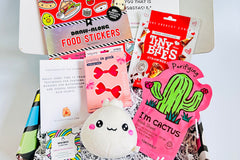 TWEEN WISHBOX - Monthly Box