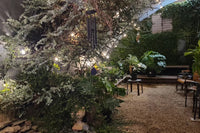 Secret Garden Step inside our intimate garden sanctuary — a peaceful escape for events, yoga, and connection.
