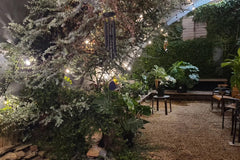 Secret Garden Step inside our intimate garden sanctuary — a peaceful escape for events, yoga, and connection.