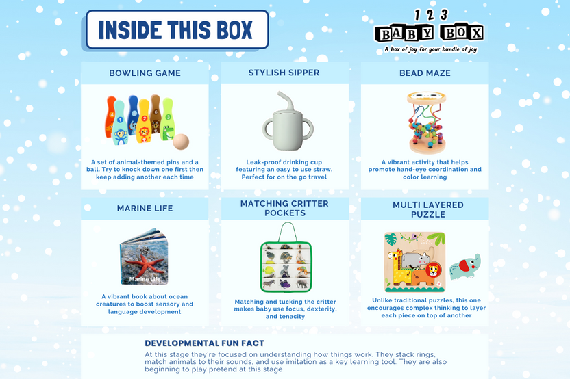123 Baby Box (19-21 Months Box)
