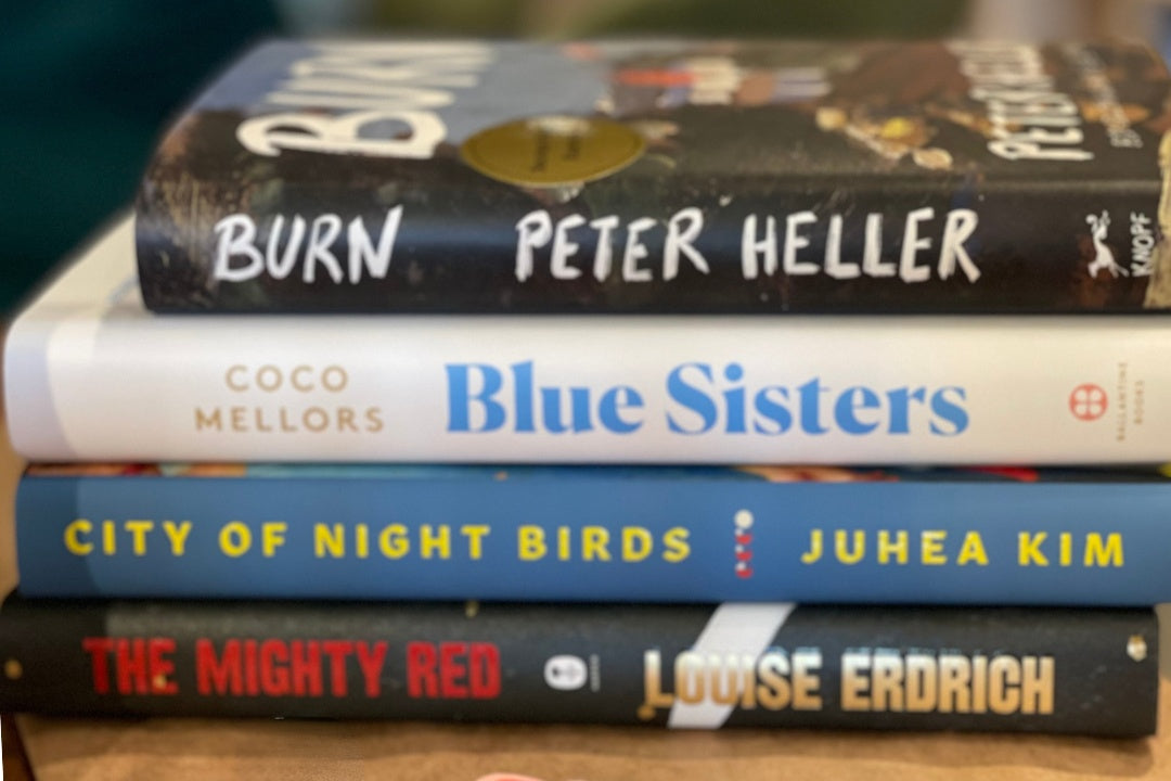 Close-up of a Stack of books of various titles like Burn and Blue Sisters on top of a brown paper shipment bag.