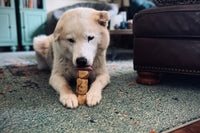 Papa Pupsie's Snax N Treats Pup Box