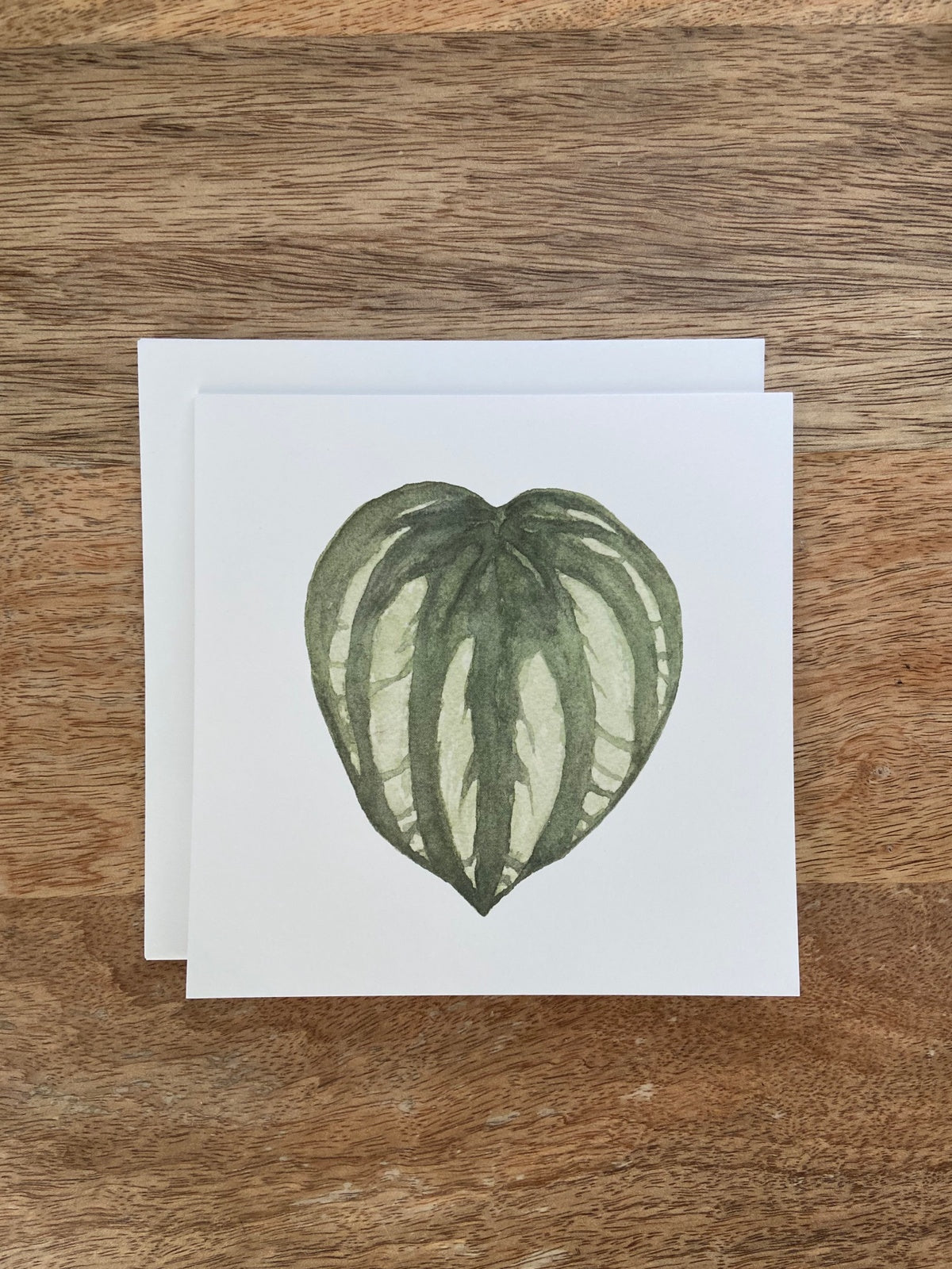 Watermelon Peperomia Plant Any Occasion Card