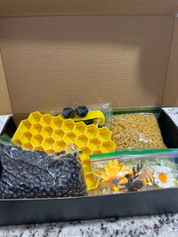 Bee Sensory Play Subscription Box
